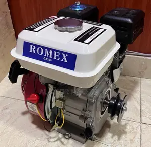 Petrol Engine