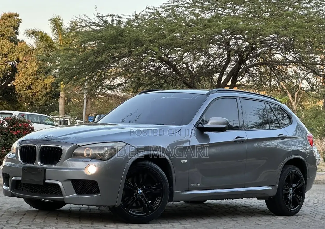 BMW X1 2011 Gray