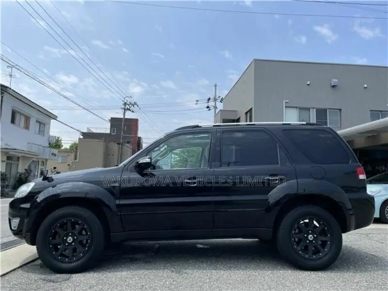 Ford Escape 2009 Black
