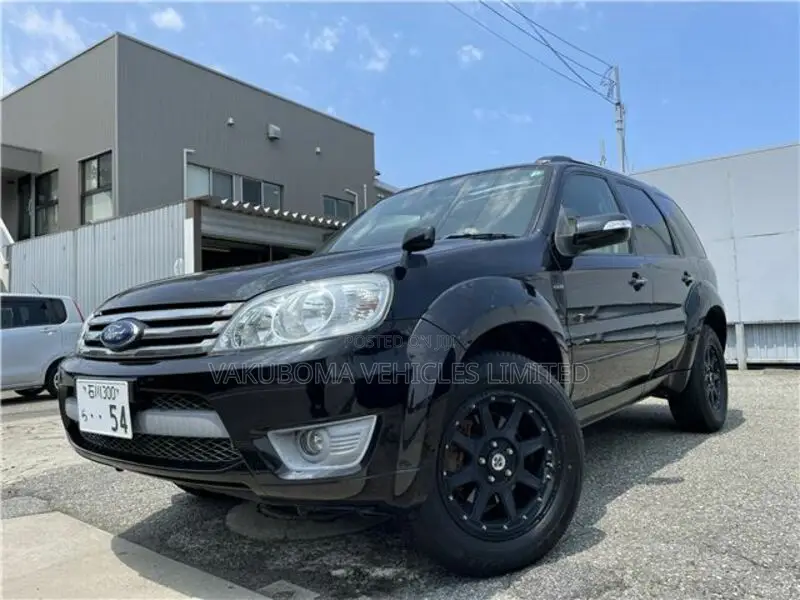 Ford Escape 2009 Black