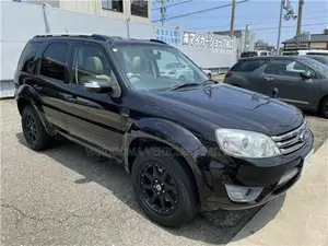 Ford Escape 2009 Black