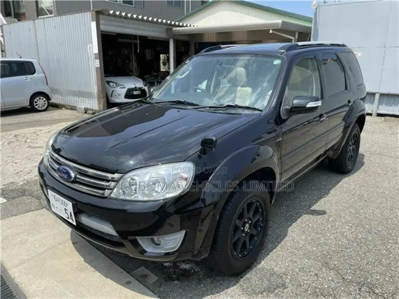 Ford Escape 2009 Black