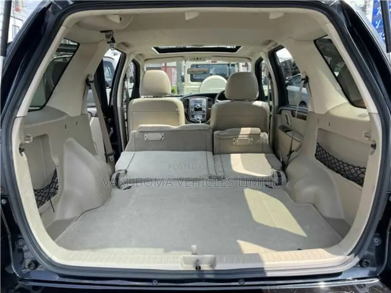 Ford Escape 2009 Black