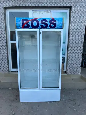 Friji Displays Boss Milango Miwili Boss Nzurii
