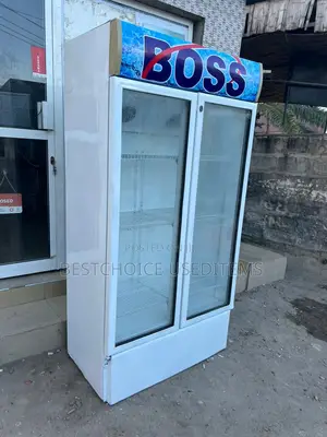 Friji Displays Boss Milango Miwili Boss Nzurii