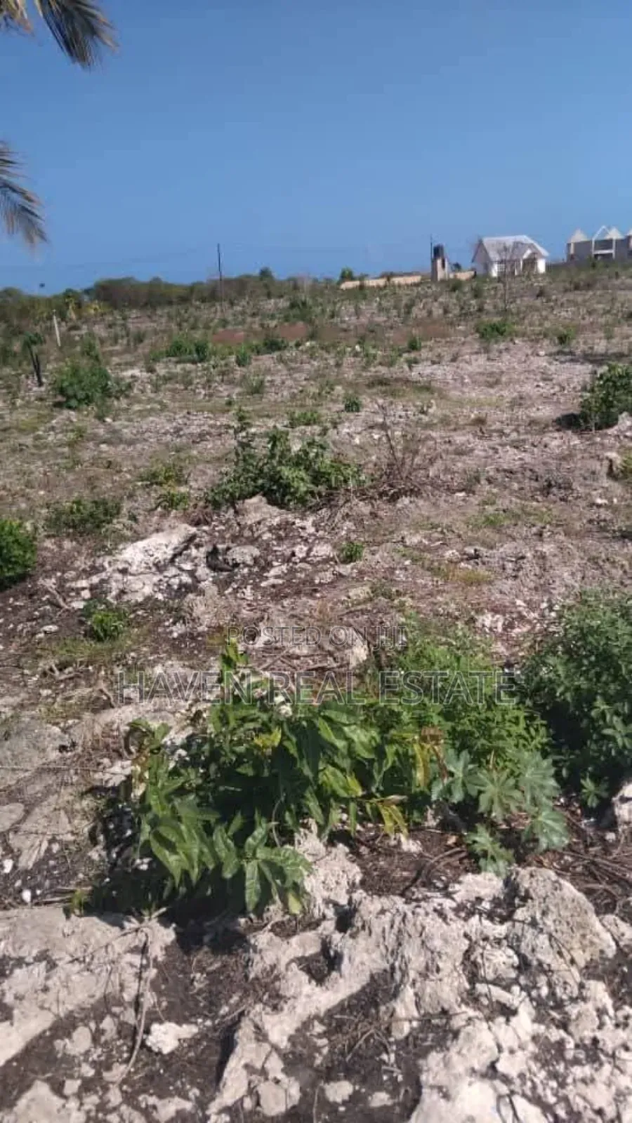 Beach Plot for Sale at Michamvi Zanzibar