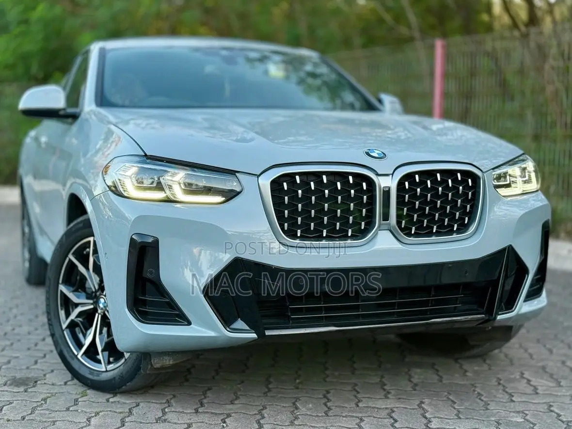 BMW X4 xDrive30i 2023 Gray