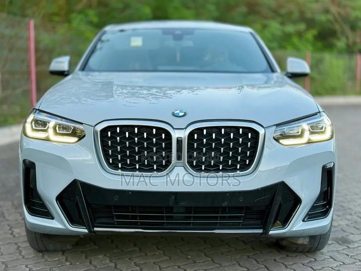 BMW X4 xDrive30i 2023 Gray