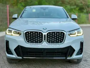 BMW X4 xDrive30i 2023 Gray