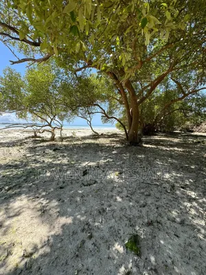 Mangrove Beach Plot for Sale at Pongwe, Zanzibar