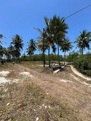 Mangrove Beach Plot for Sale at Pongwe, Zanzibar