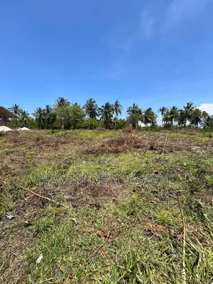 Mangrove Beach Plot for Sale at Pongwe, Zanzibar