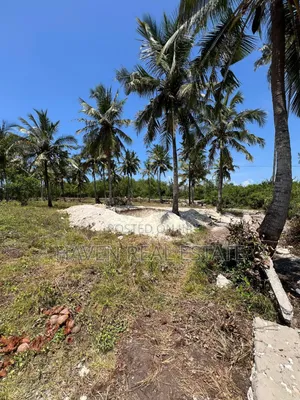Mangrove Beach Plot for Sale at Pongwe, Zanzibar