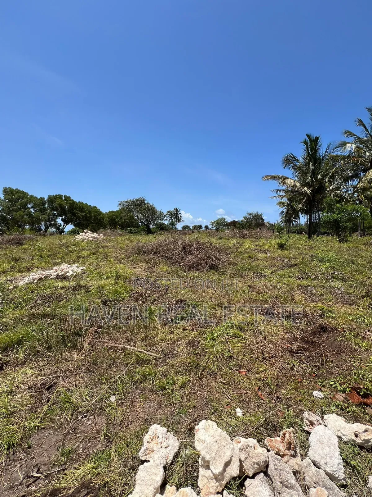 Mangrove Beach Plot for Sale at Pongwe, Zanzibar