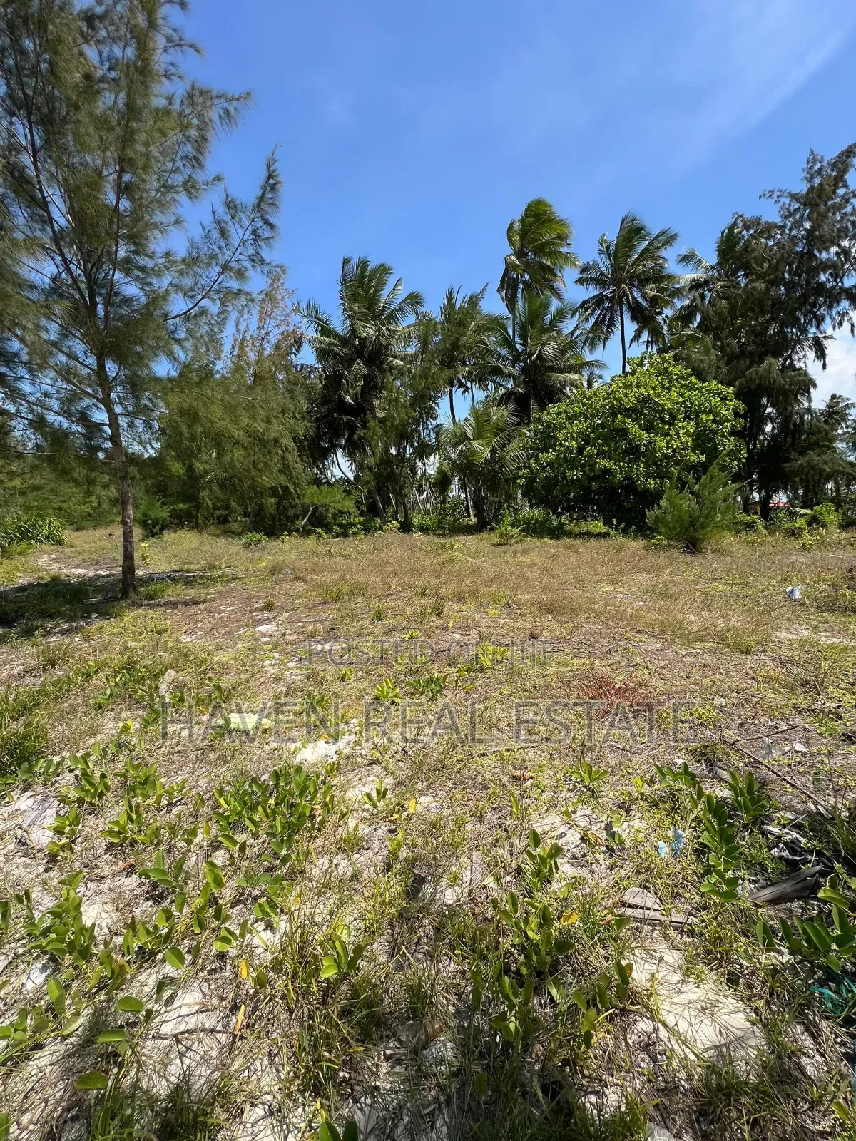 Mangrove Beach Plot for Sale at Pongwe, Zanzibar
