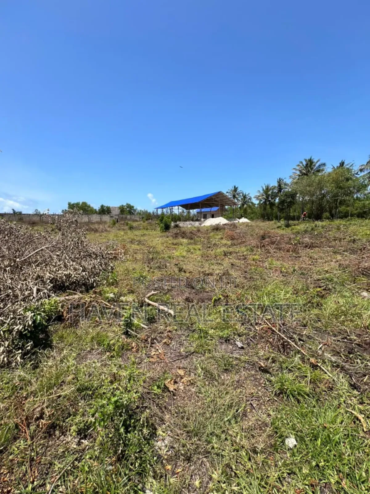 Mangrove Beach Plot for Sale at Pongwe, Zanzibar
