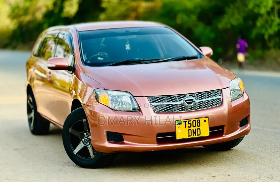 Toyota Corolla Fielder 2007 Orange