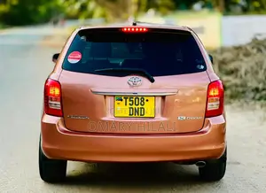 Toyota Corolla Fielder 2007 Orange