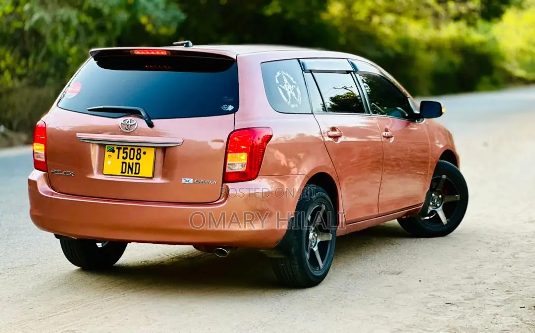 Toyota Corolla Fielder 2007 Orange