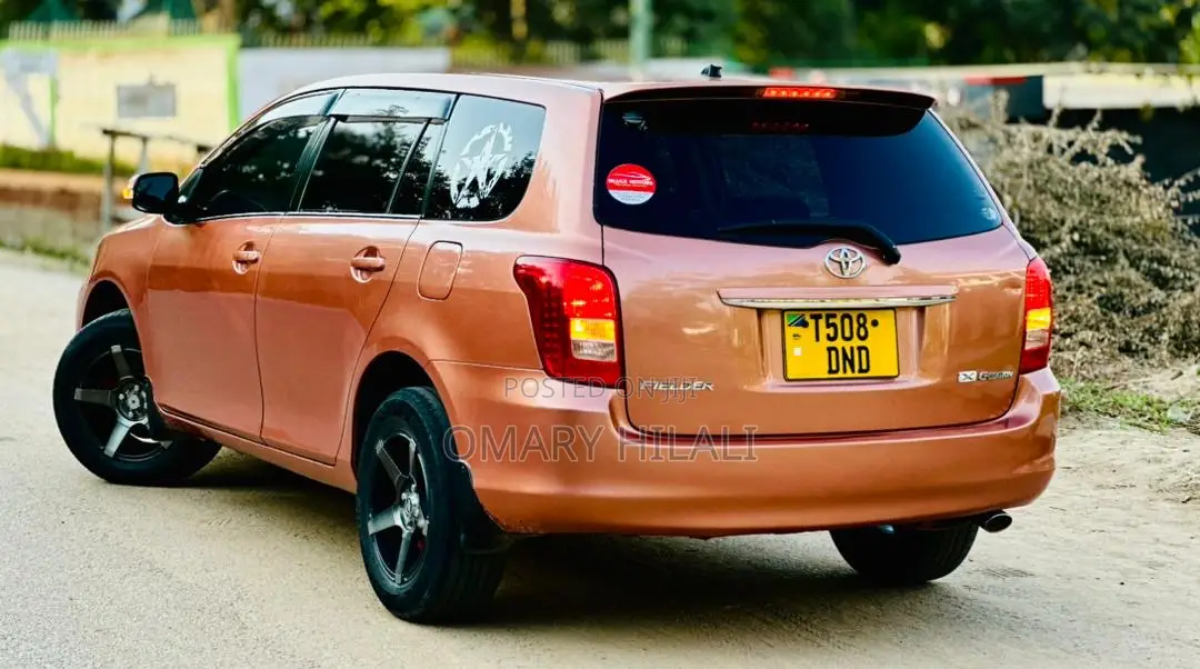 Toyota Corolla Fielder 2007 Orange