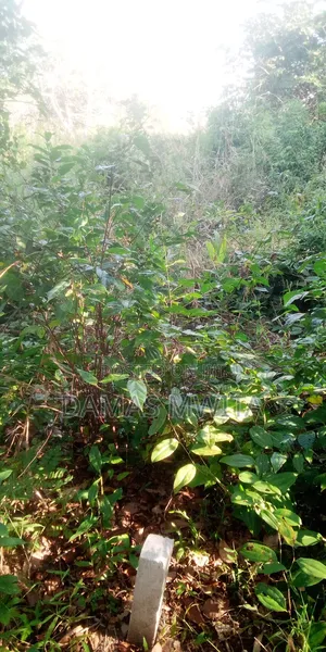 Prime Industrial Land Opportunity