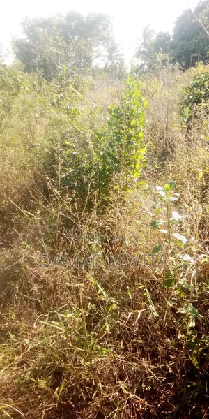 Prime Industrial Land Opportunity