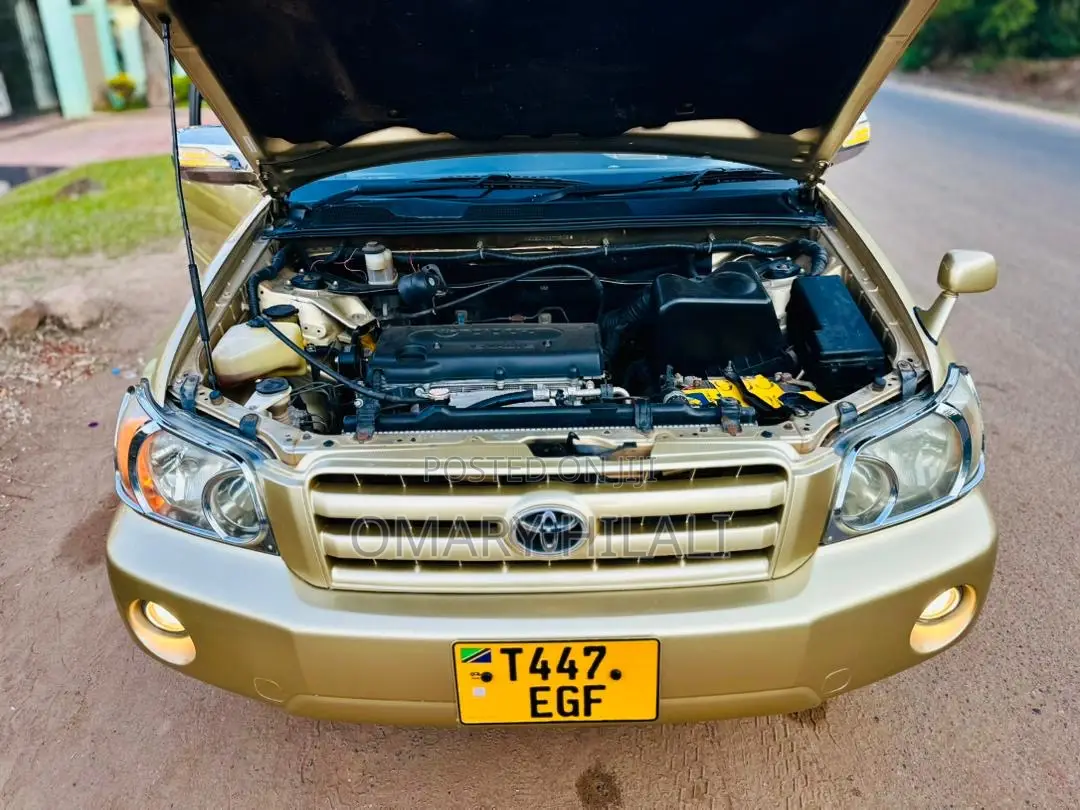 Toyota Kluger 2003 Gold