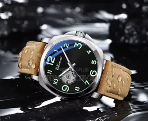 Chenxi Automatic New Brand Watch