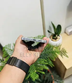 New Samsung Galaxy S25 Ultra 256 GB