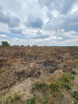11 Acres Industrial Plot for Sale Kibaha