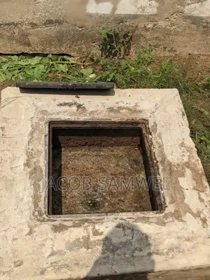 Sewage Service