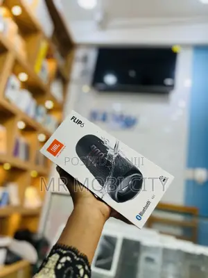 JBL Speaker Flip 6