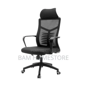 Ergonomic High-Back Office Chair With Lumbar Support (Black)