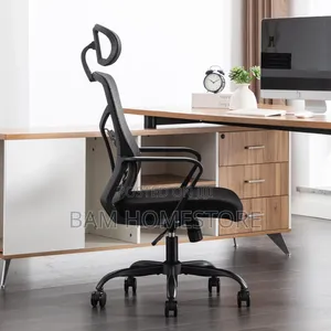 Ergonomic High-Back Office Chair With Lumbar Support (Black)