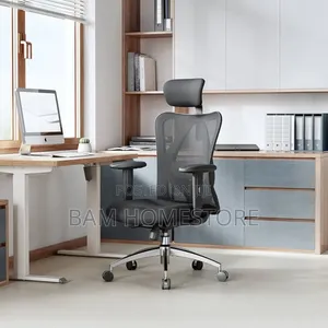 Ergonomic High-Back Office Chair With Lumbar Support (Black)