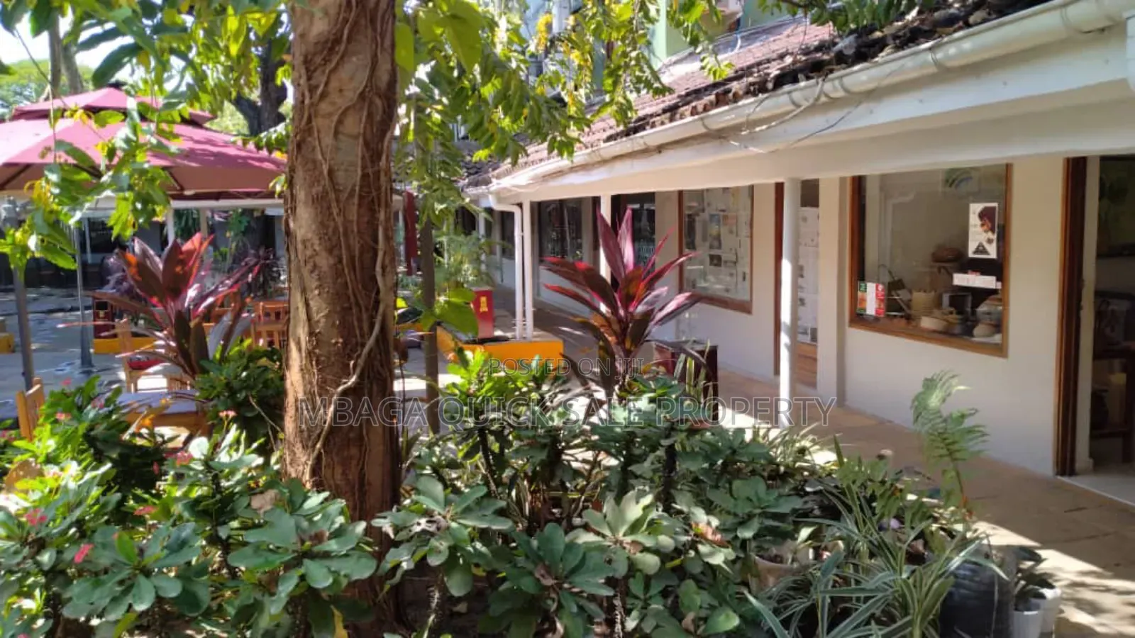 Office Space Area SQM 200 for Rent at Oyster Bay Near Coco Beach
