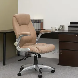 Padded Executive Office Chair