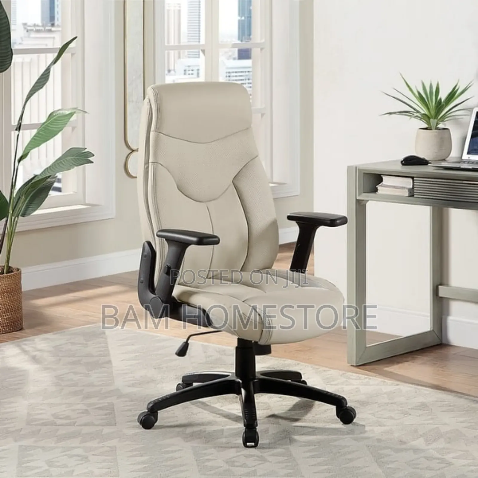 Padded Executive Office Chair
