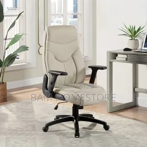 Padded Executive Office Chair