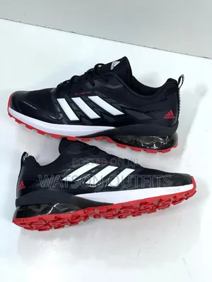 Sneaker Shoes Completely Leathered and Very Very Classic and Casual