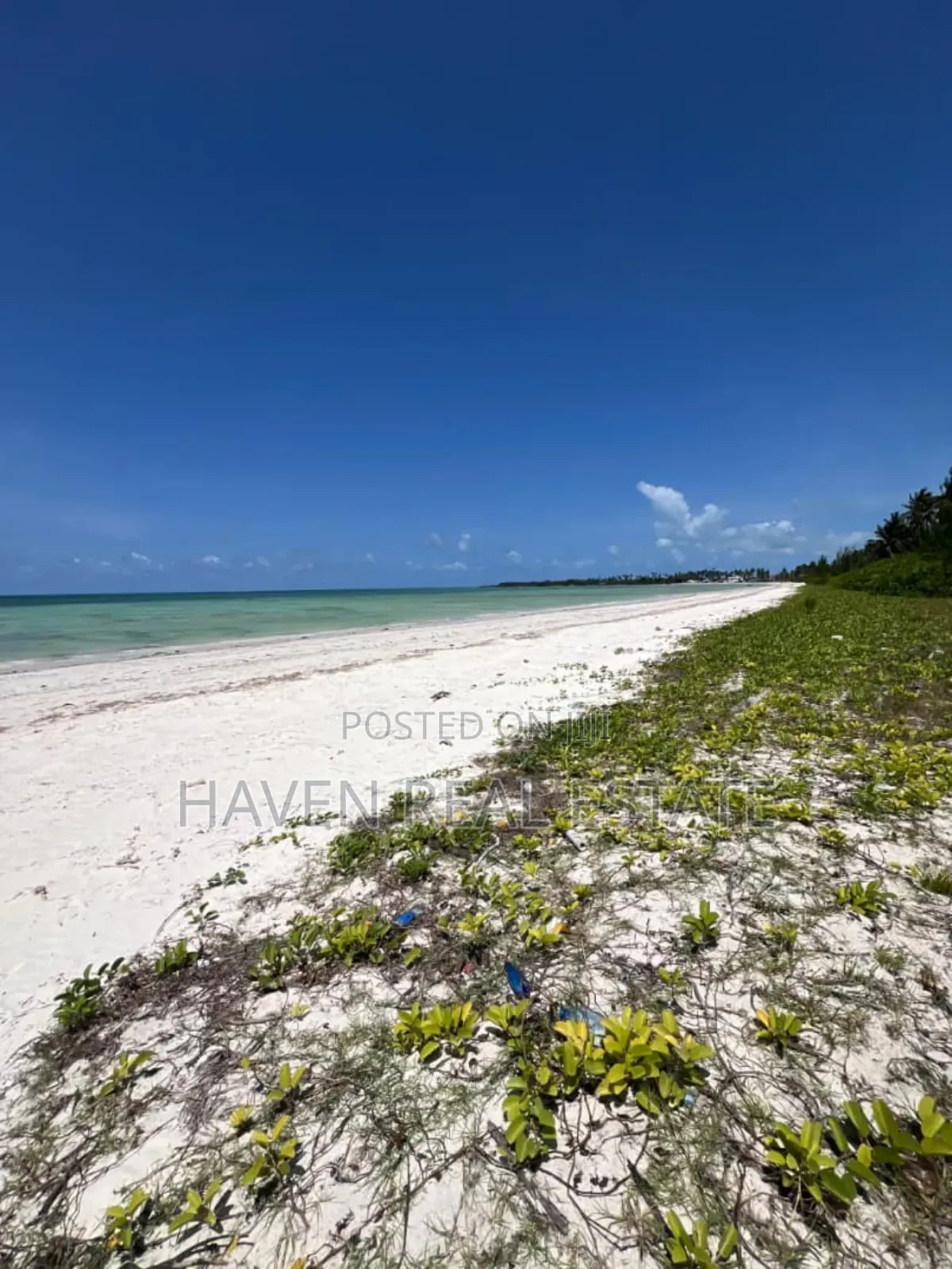 Whitesand Beach Plot for Sale in Pongwe, Zanzibar