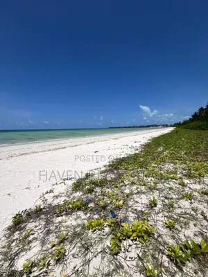 Whitesand Beach Plot for Sale in Pongwe, Zanzibar