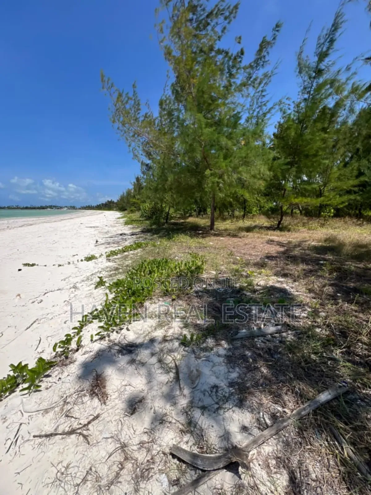 Whitesand Beach Plot for Sale in Pongwe, Zanzibar