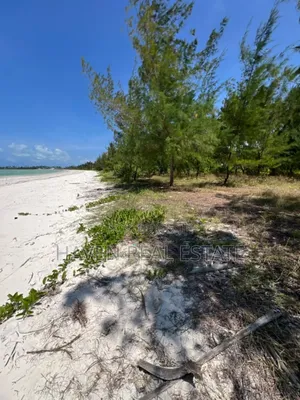 Whitesand Beach Plot for Sale in Pongwe, Zanzibar