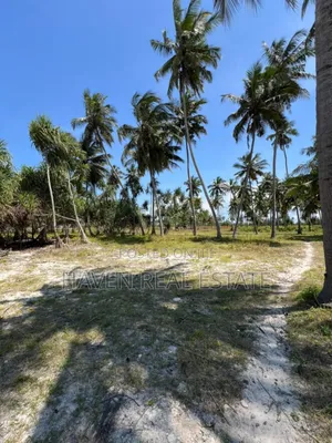 Whitesand Beach Plot for Sale in Pongwe, Zanzibar