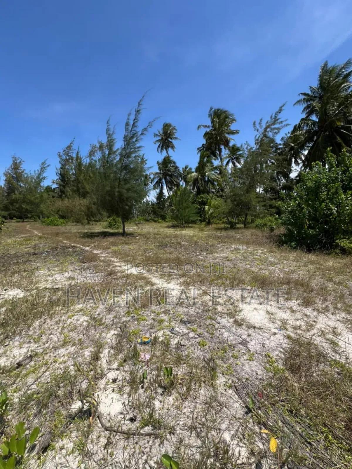 Whitesand Beach Plot for Sale in Pongwe, Zanzibar