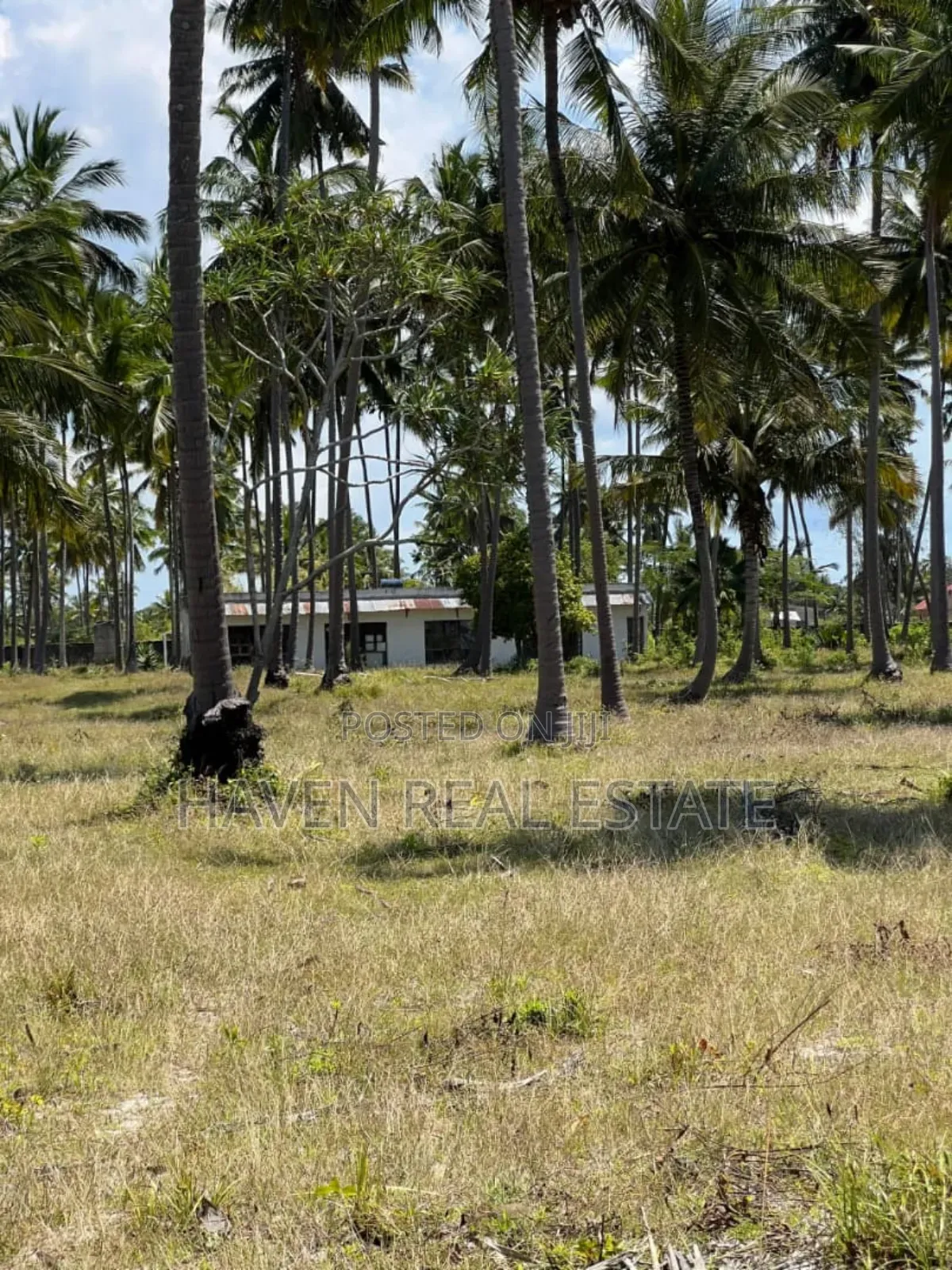 Whitesand Beach Plot for Sale in Pongwe, Zanzibar
