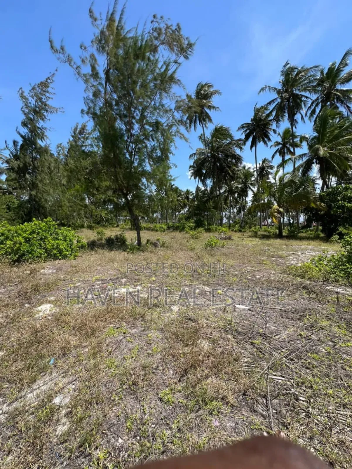Whitesand Beach Plot for Sale in Pongwe, Zanzibar