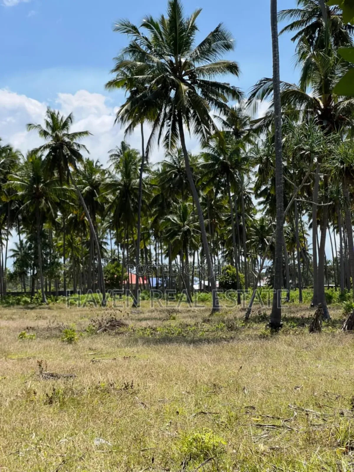 Whitesand Beach Plot for Sale in Pongwe, Zanzibar