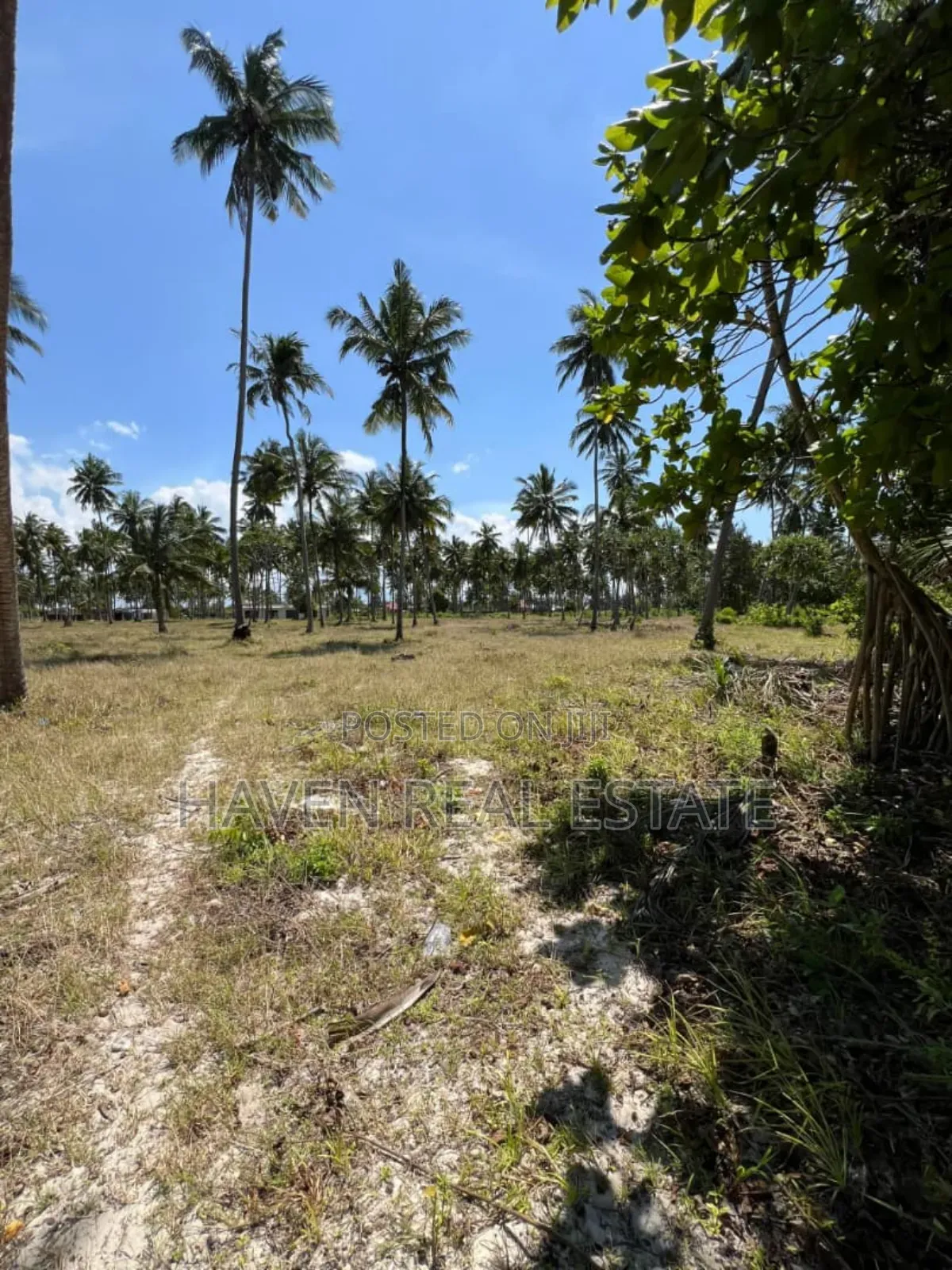 Whitesand Beach Plot for Sale in Pongwe, Zanzibar